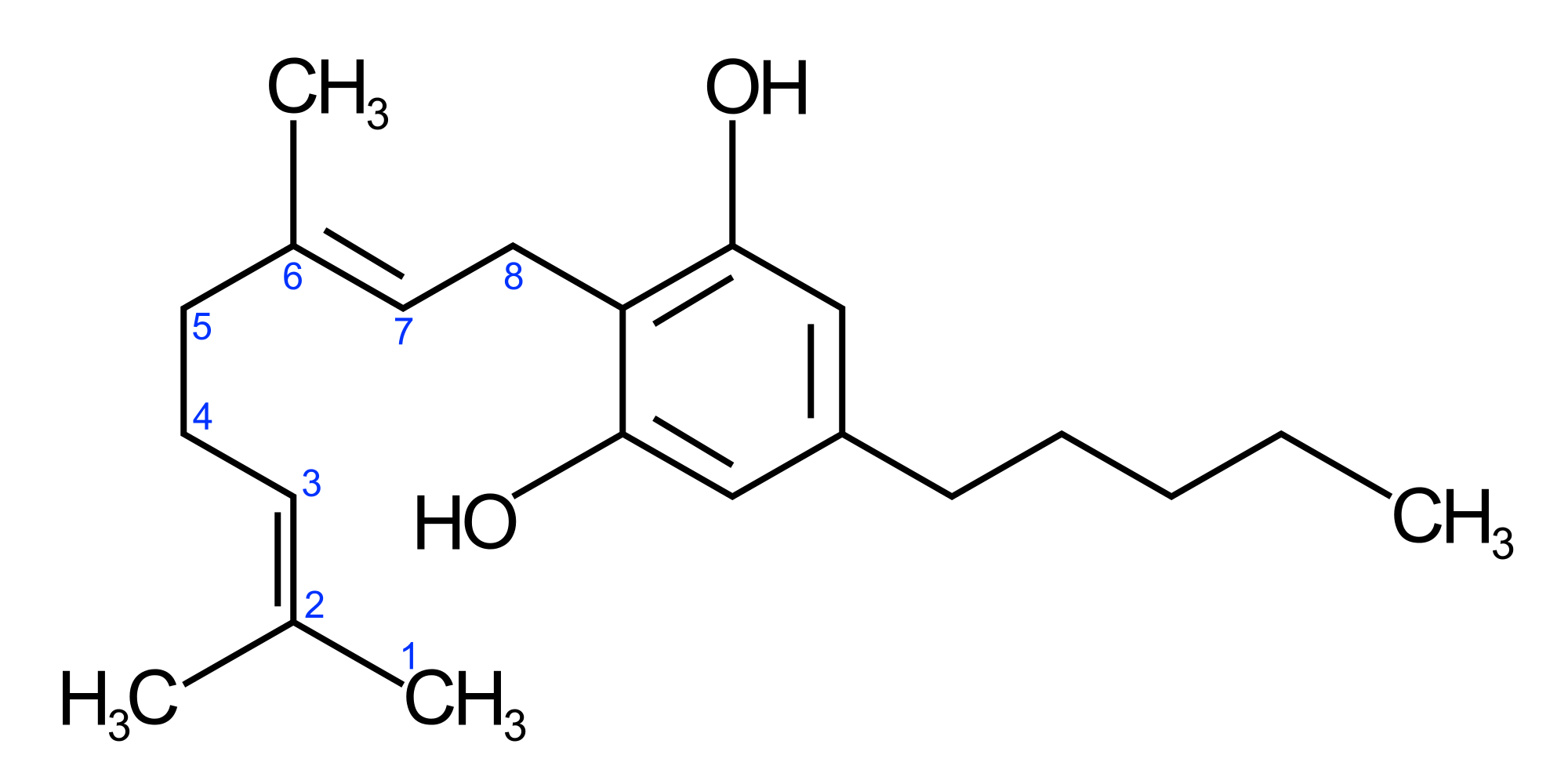 CBG ???? ???? ??'?? ???????????? ?????????? ?????????????? ???????? ?????????? ?????????????? CBG ???????????? ??????????